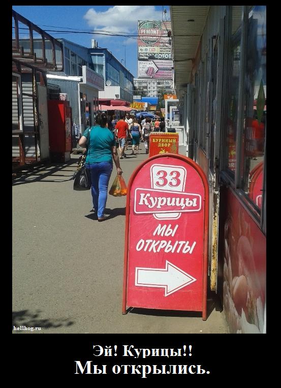 Эй курицы! Мы открылись.